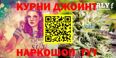 гидра Бийск