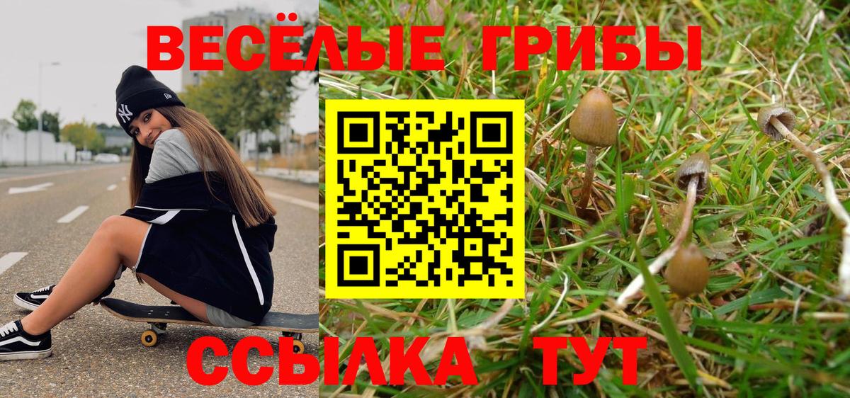 Галлюциногенные грибы мицелий  Псилоцибиновые грибы ЛСД  Батайск  как найти закладки  Вход с VPN 